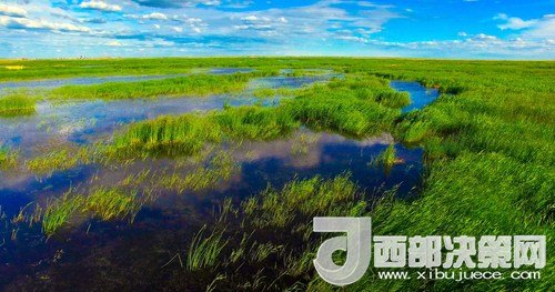 呼倫湖濕地。吳勇攝