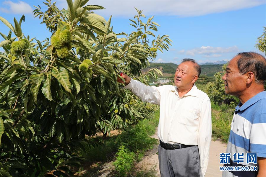 （新華全媒頭條·走向我們的小康生活·圖文互動(dòng)）（11）長城腳下，小康村串成“珍珠鏈”