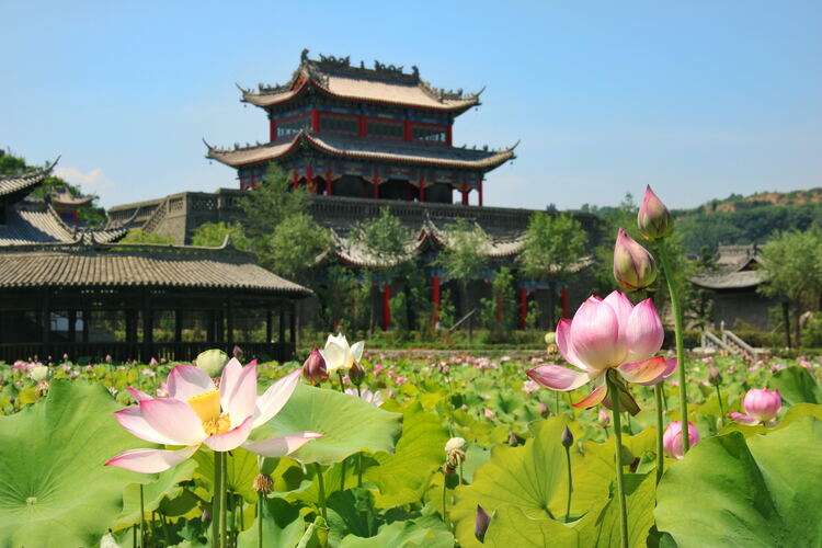 【云游渭南】心中若有桃花源，此處便是水云間！待疫情散盡，一起來渭南桃花源賞美景、觀民俗、享美食_fororder_2